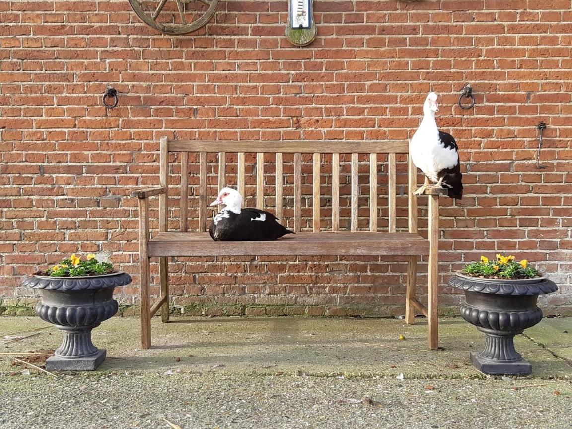Wol Thus Villa Paesens Kültér fotó